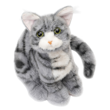 （アメショー）お座り　なでなで子猫ちゃん