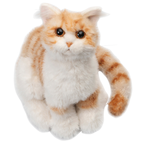 （トラ）お座り　なでなで子猫ちゃん