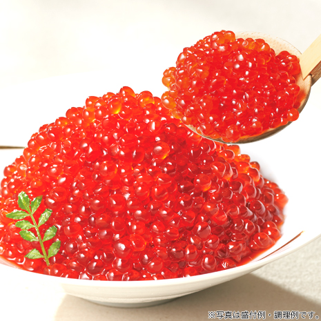（５００ｇ）手ほぐし厳選　天然紅鮭いくら醤油漬