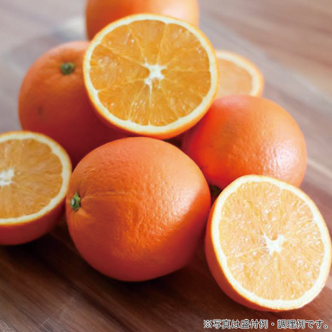 【産地直送】広島県産　稲角さんのネーブルオレンジ