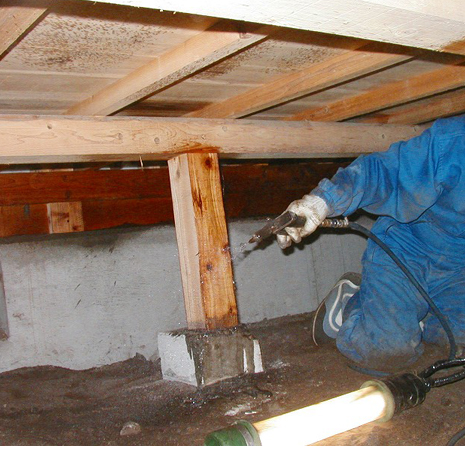 ＜三共消毒＞シロアリ駆除サービス