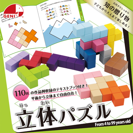 ＧＥＮＩ　知の贈り物シリーズ　立体パズル